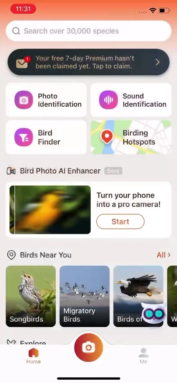 Picture Bird: Bird identifier screenshot 4
